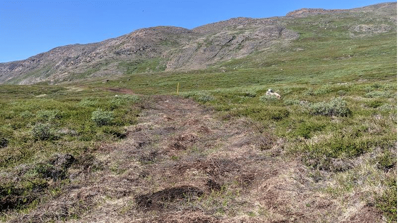 ... und so sieht die ATV-Stra&szlig;e wirklich aus.